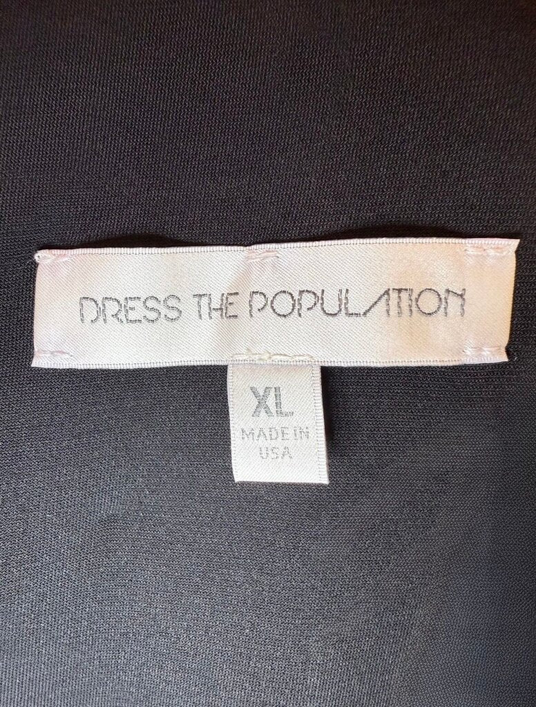Dress The Population Sequin Dress