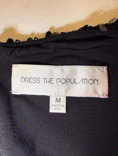 Dress The Population Sequin Dress